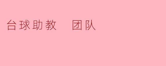 台球助教 团队